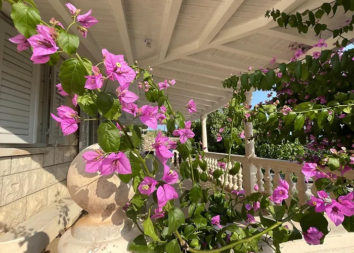 Villa Ardura - Island Holiday Residence **** Bol. Island Brac