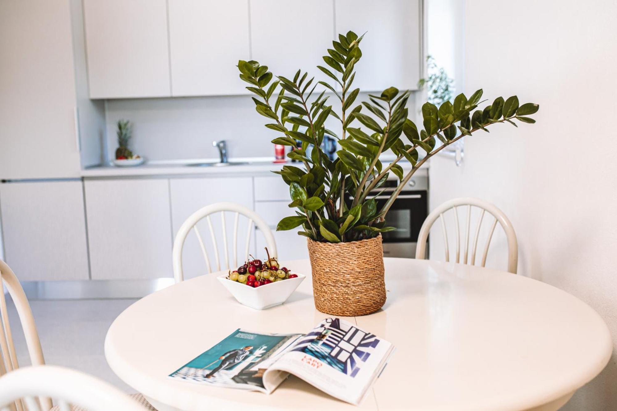 Ardura - Island **** Bol. Island Brac Apartment Bol